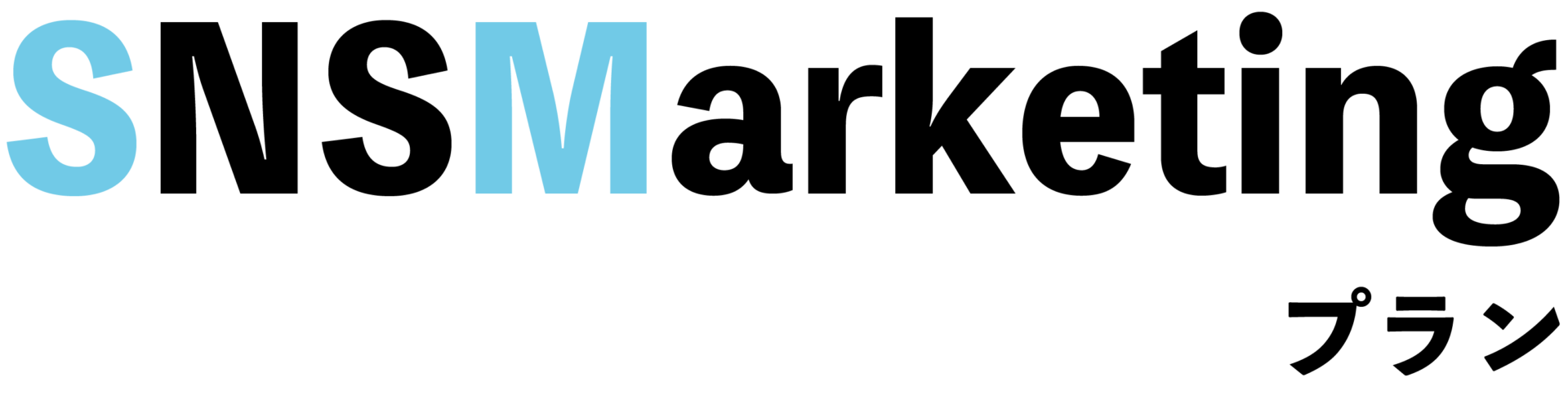 SNSマーケティングプラン